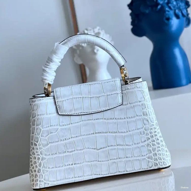 2210YA0129 Bag LV 0723